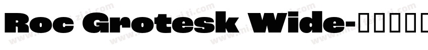 Roc Grotesk Wide字体转换